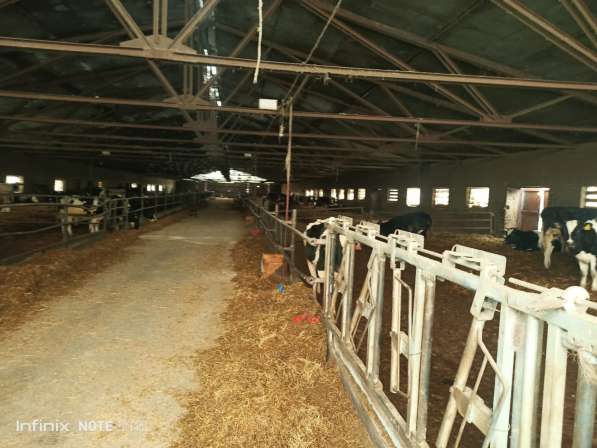 Агрохолдинг ищет соинвестора в Москве фото 3