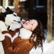 Щеночки хаски черно -белые голубоглазые и разноглазые, в Апатиты