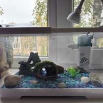 Аквариум 8 литров, в Лобне