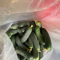Продажа, в Астрахани