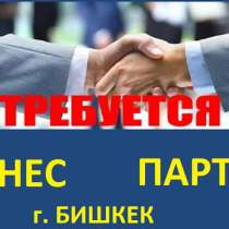 Ищу бизнес партнера, г. Бишкек !!! В торговую сферу деятель, в г.Бишкек
