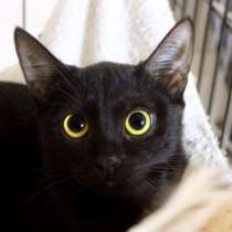 Озорная Туся ждет человека с большим сердцем, в Москве