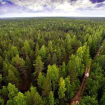 Услуги в сфере лесного хозяйства, в Екатеринбурге