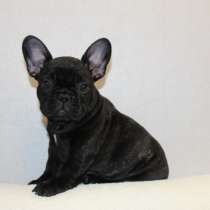 Француженка, в Москве