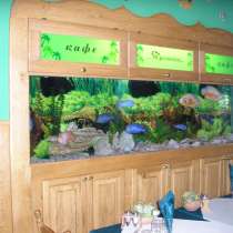 Обслуживание аквариумов в Донецке, в г.Донецк