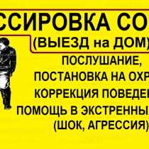 Услуги кинолога, в Апрелевке