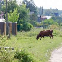 Участок 10с. снт Финеево, в Переславле-Залесском
