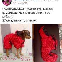 Одежда той-терьер собака щенок, в Иркутске