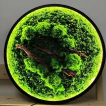 Фитокартины из стабилизированного мха, сухоцветов, в Санкт-Петербурге