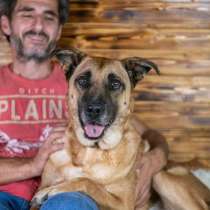 Славный богатырь Норд Батькович ищет дом, в Москве