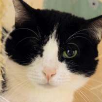 Вдумчивая Луиса мечтает встретить родную душу, в Москве