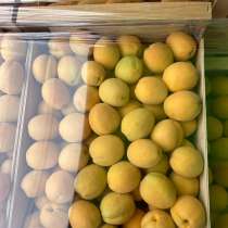 Абрикосы сладкие, в Москве