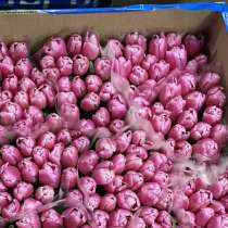 Тюльпаны к 8 Марта оптом, в Яблоновском