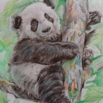Рисунок панды, в Энгельсе