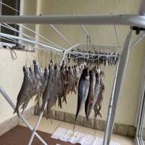 Сушенная рыба(икряная), в Тольятти