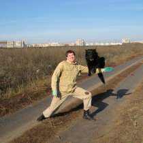 Дрессировка собак в Одессе (район Северного рынка и ТЦ СИТИ, в г.Одесса