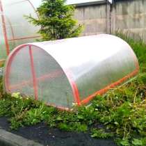 Парник, в Костроме