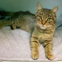 Нежная Торри мечтает обрести любящую семью, в Москве