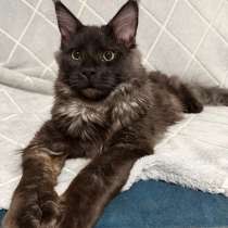 Мэйн-кун, в Наро-Фоминске