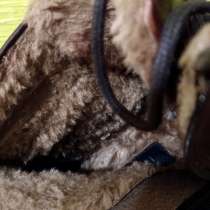 Продам новые, кожаные ботинки, в Донецке