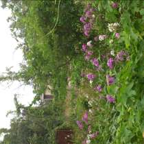 Продается земельный участок, в Ростове-на-Дону