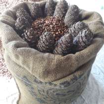 Продам кедровый орех в скорлупе, в Оренбурге