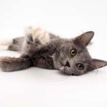 Малышка Любава ждёт встречи со своим человеком, в Москве