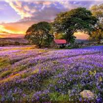 Картины и постеры для дома Магазин-Картин, в Тольятти