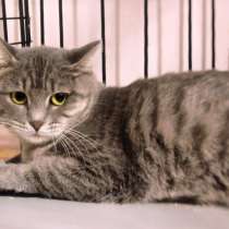 Скромная Мэнди ищет дом, где ее примут как родную, в Москве