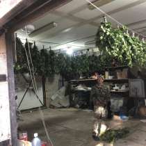 Продам веник банный берёзовый, в Красноярске