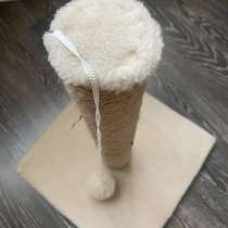 Когтеточка, в Москве